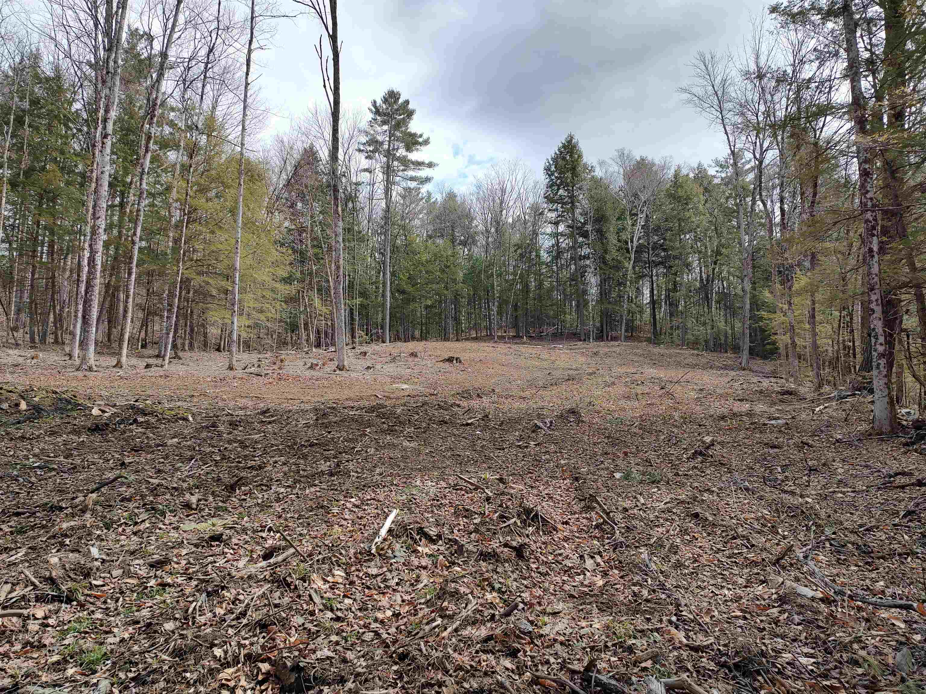 1991 Royalton Hill Road Property Photo
