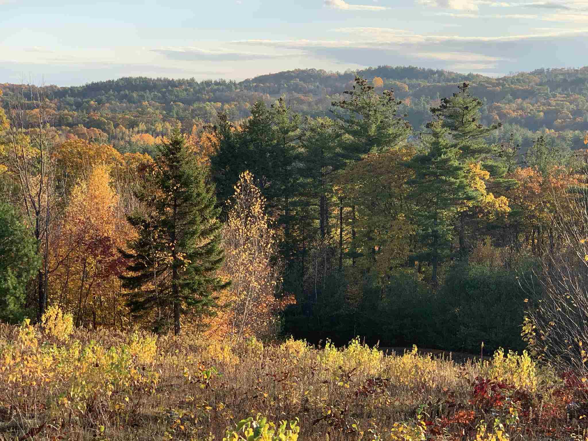 000 Stonegate Farm Road Property Photo 6