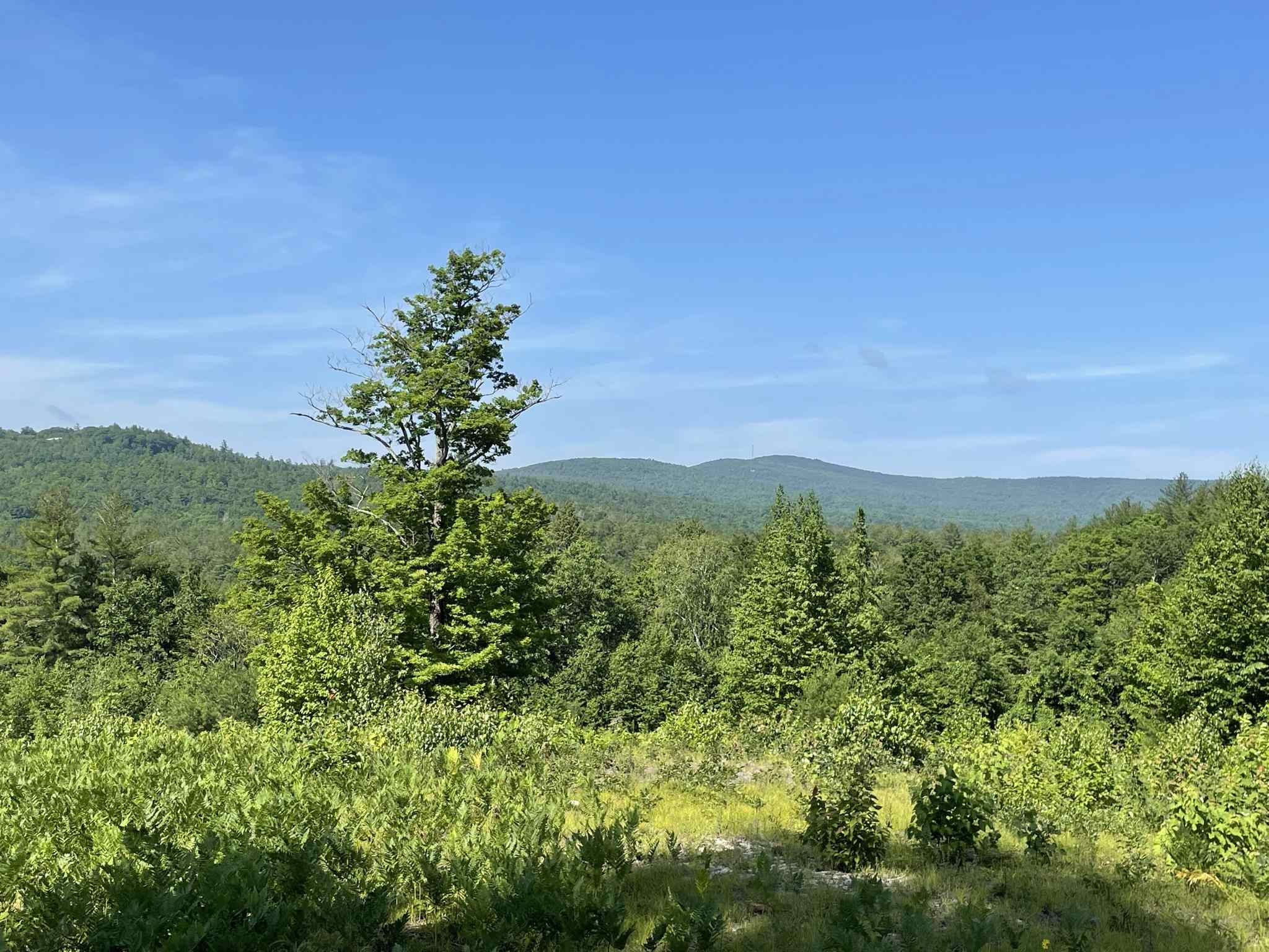 000 Stonegate Farm Road Property Photo 7