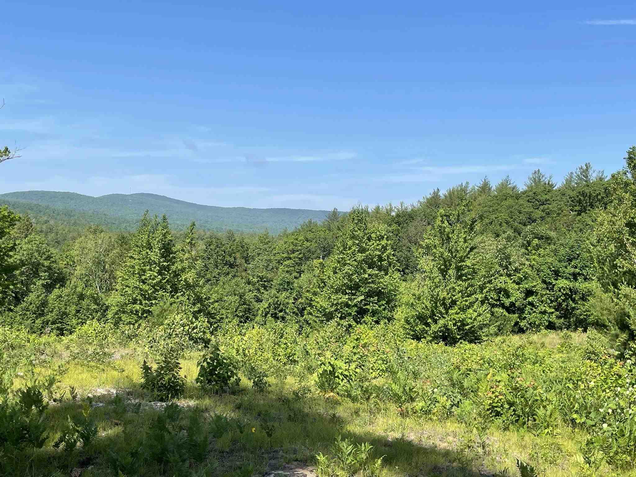 000 Stonegate Farm Road Property Photo 8