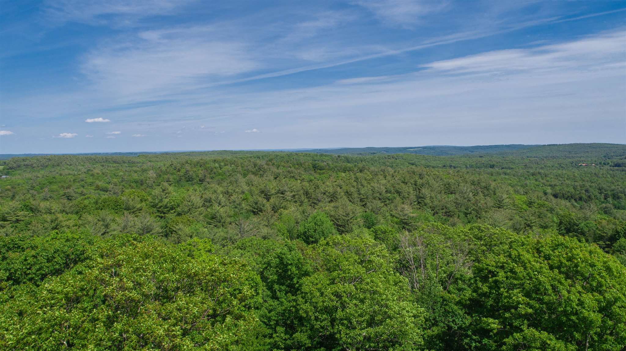 000 Stonegate Farm Road Property Photo 9