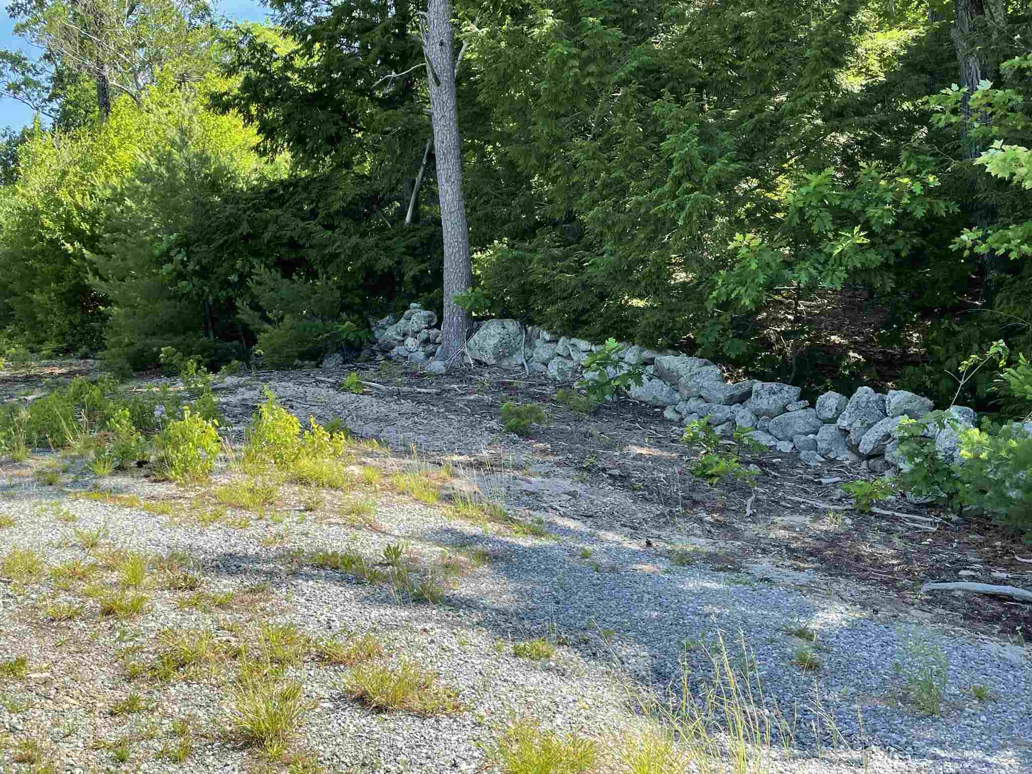 000 Stonegate Farm Road Property Photo 12