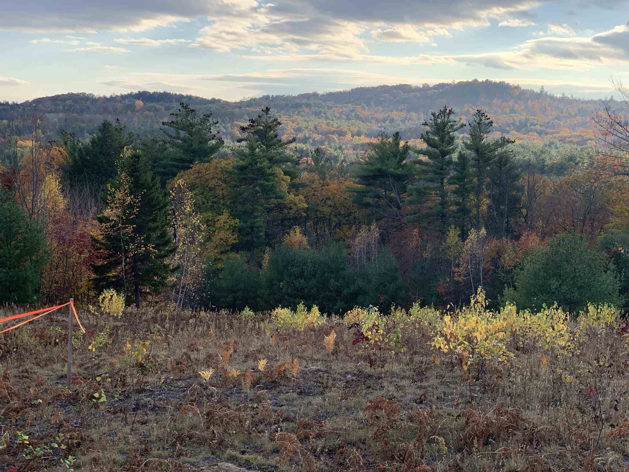000 Stonegate Farm Road Property Photo 23