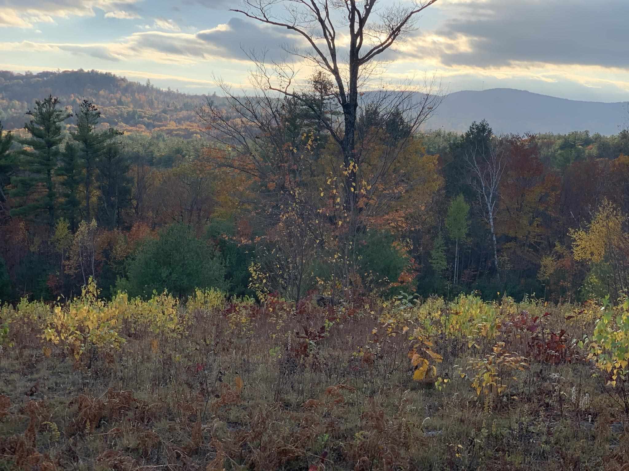 000 Stonegate Farm Road Property Photo 24