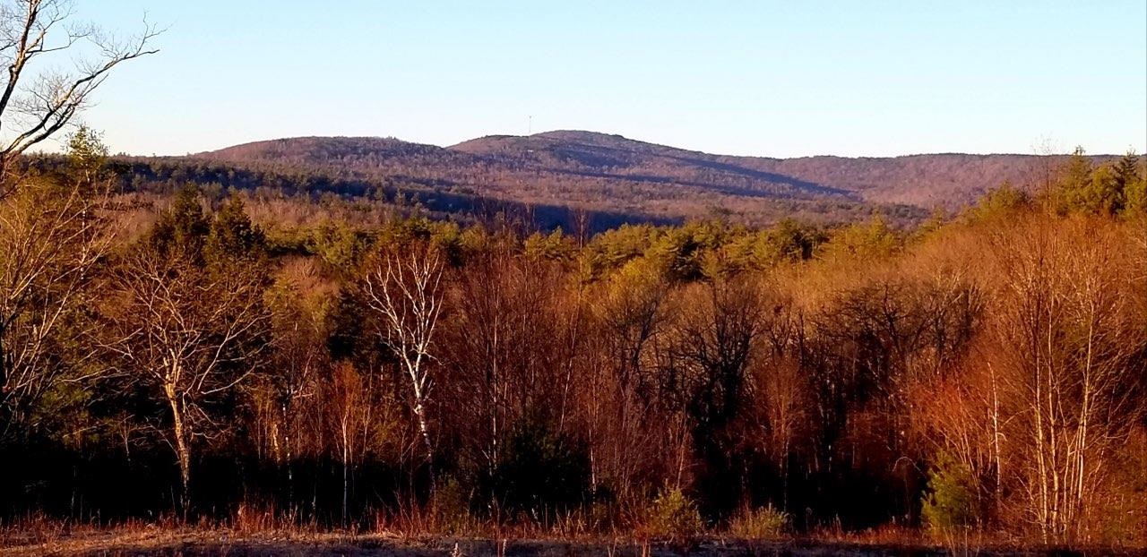 000 Stonegate Farm Road Property Photo 26