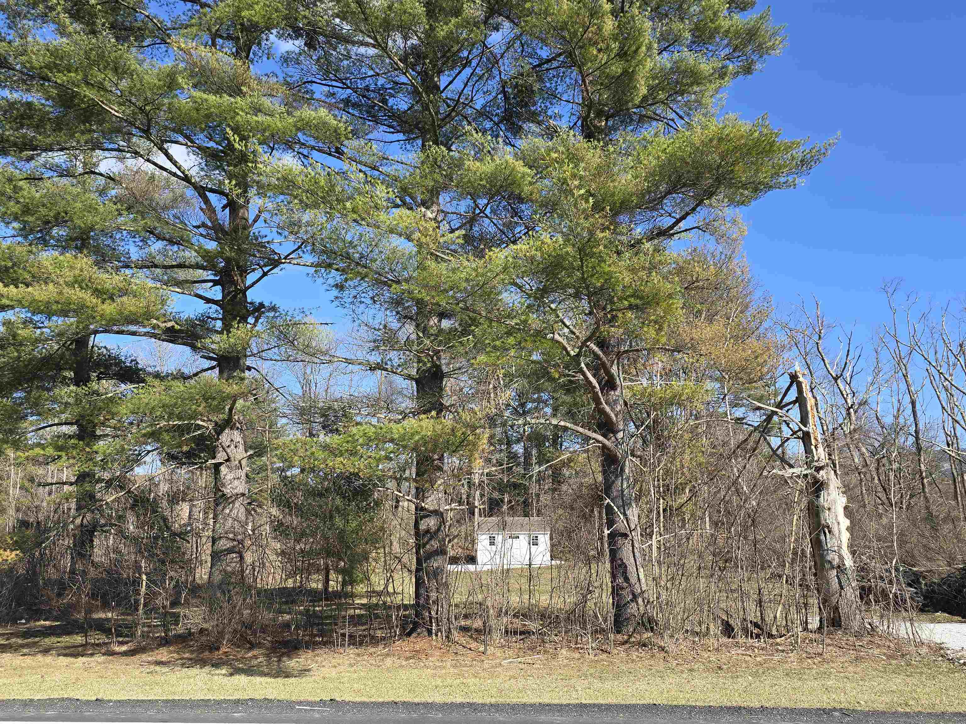 1460 Cold Spring Road Property Photo 3