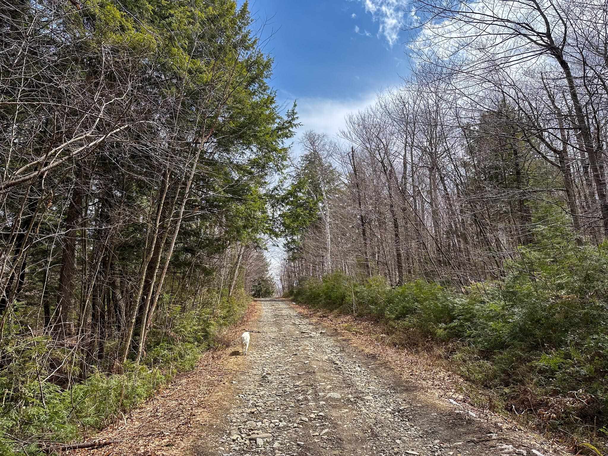 00 Boone Road Property Photo