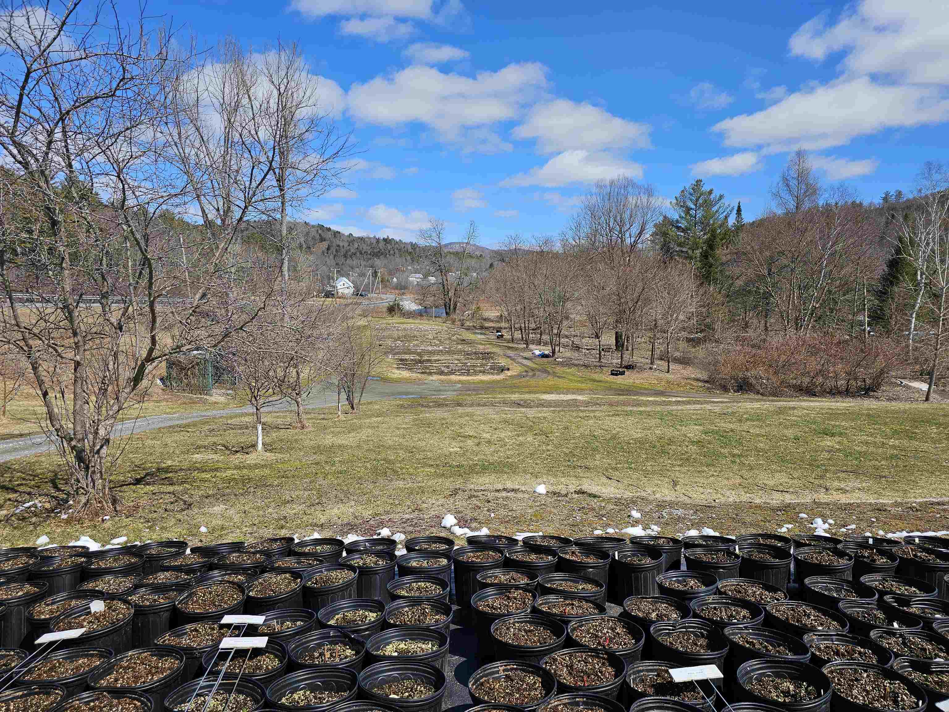 2263 Us Route 2 Property Photo 44