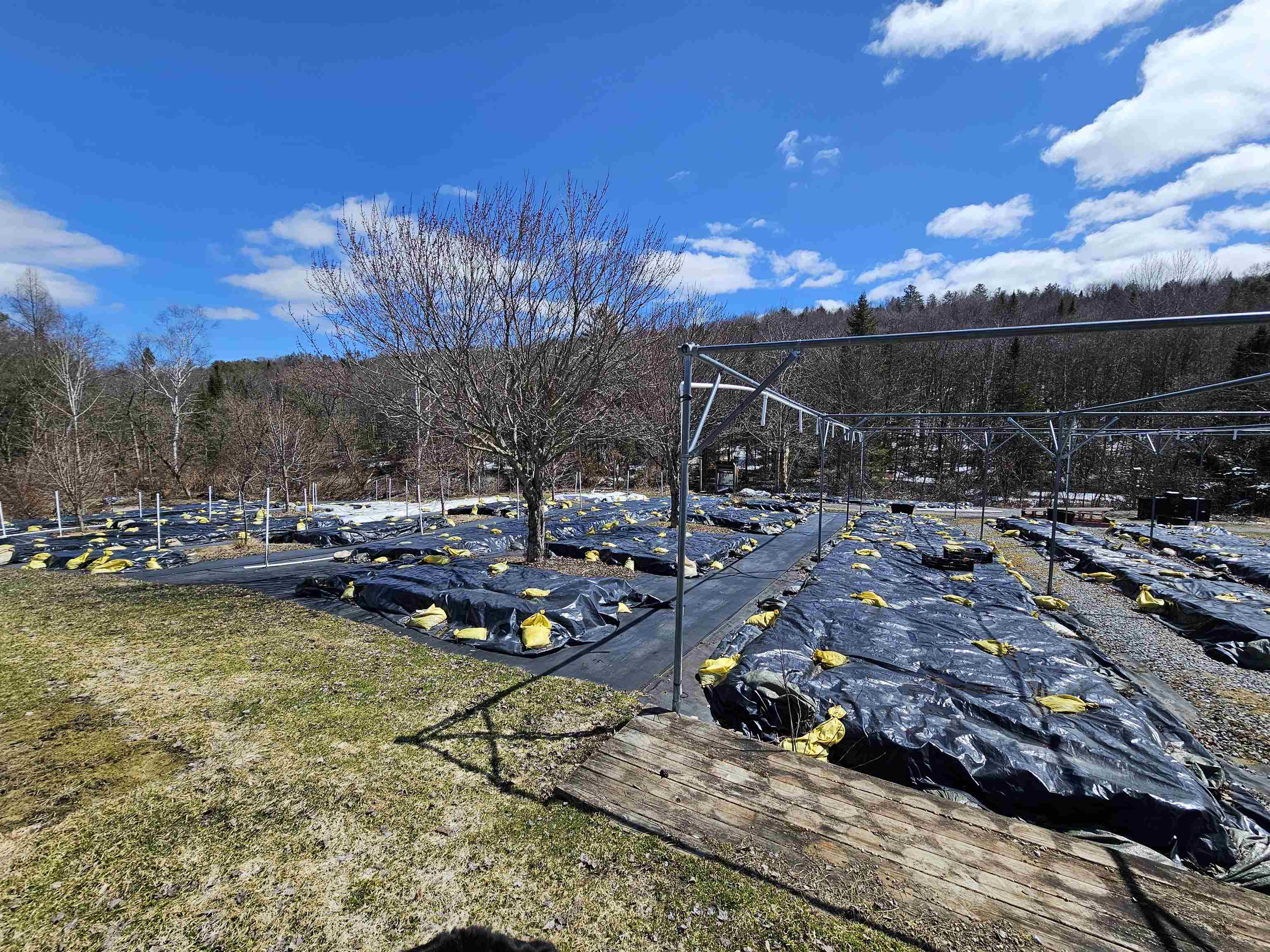 2263 Us Route 2 Property Photo 45