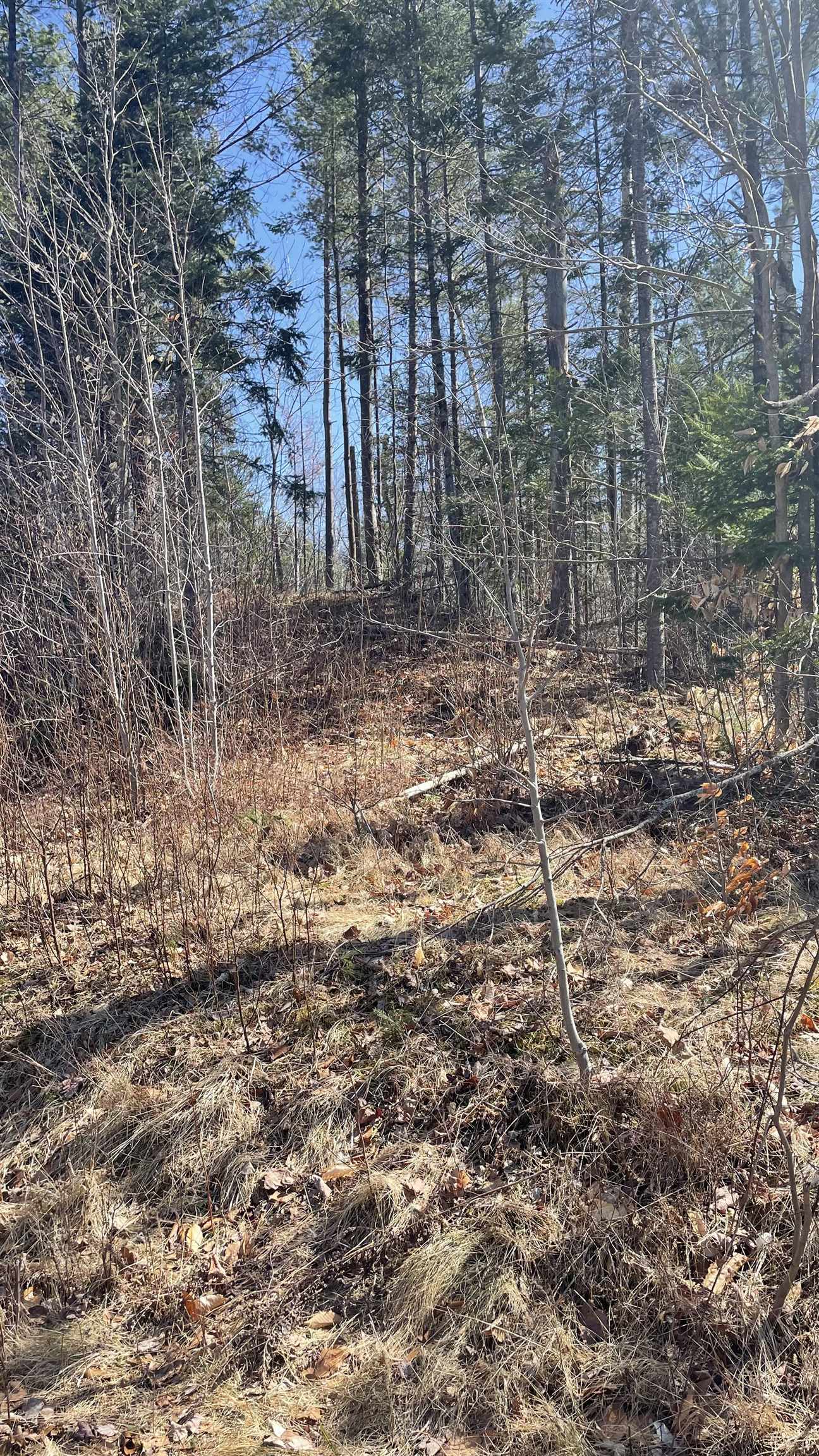 0 Route 115 Property Photo 2
