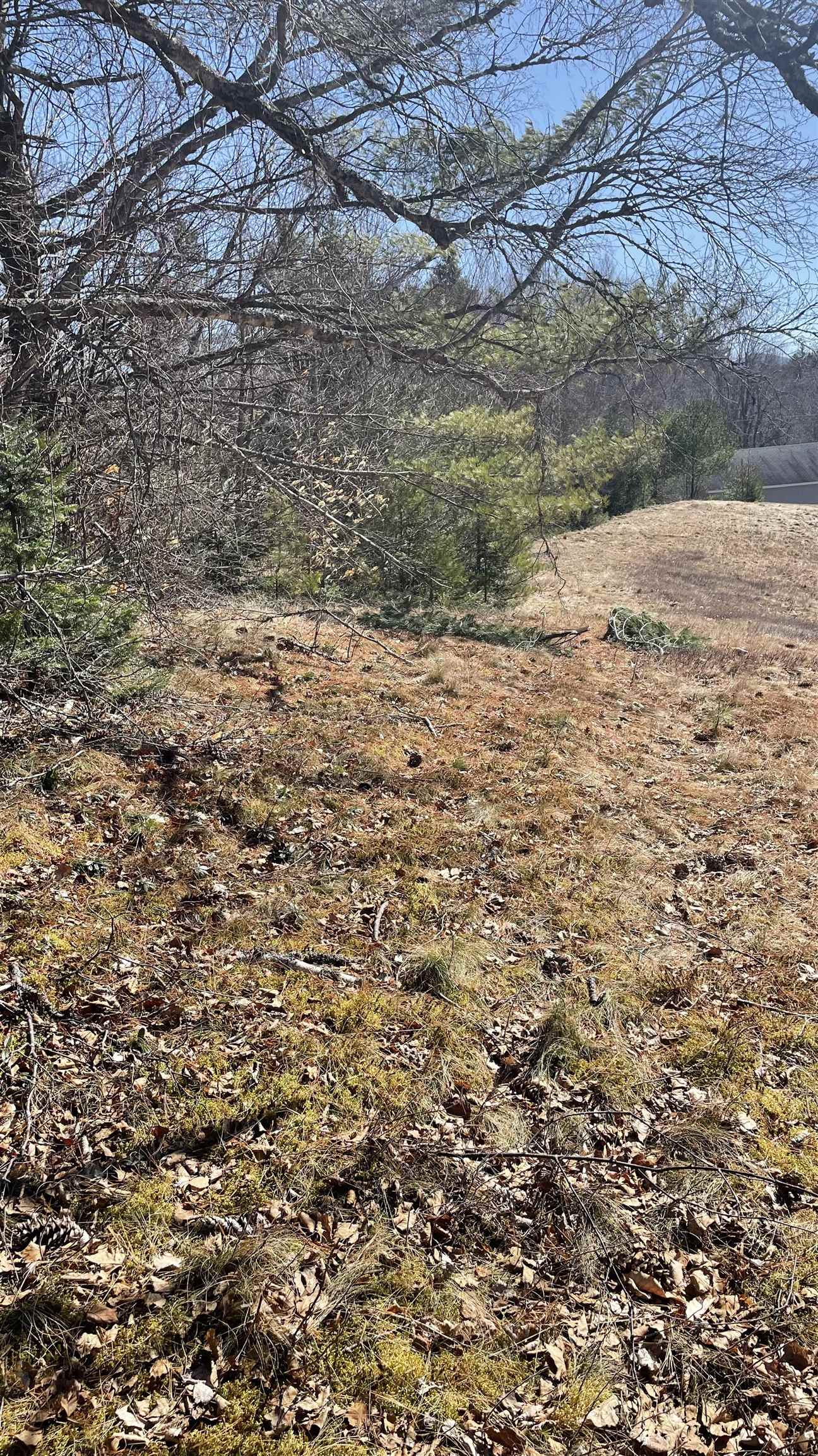 0 Route 115 Property Photo 5