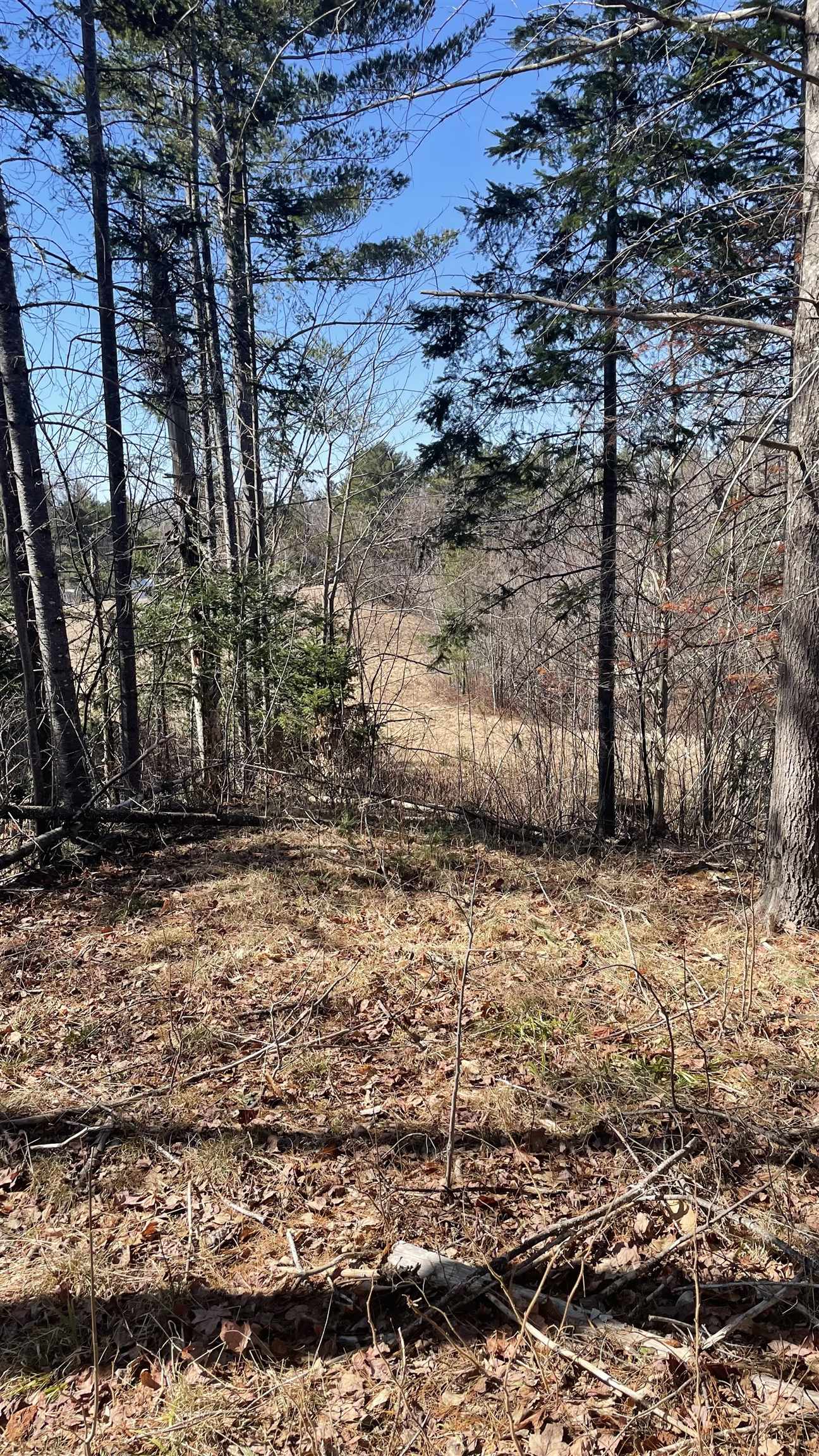 0 Route 115 Property Photo 7