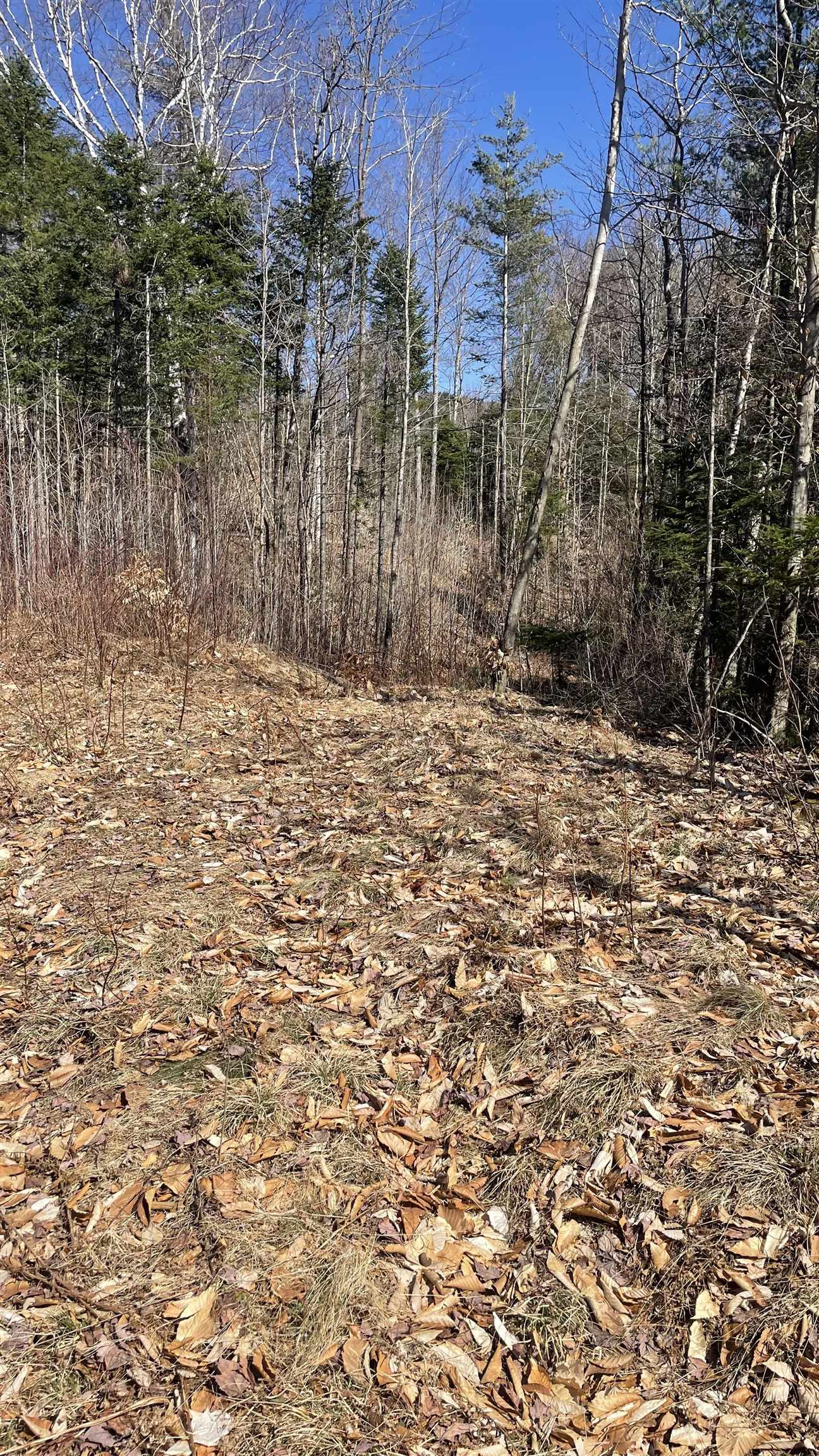 0 Route 115 Property Photo 9