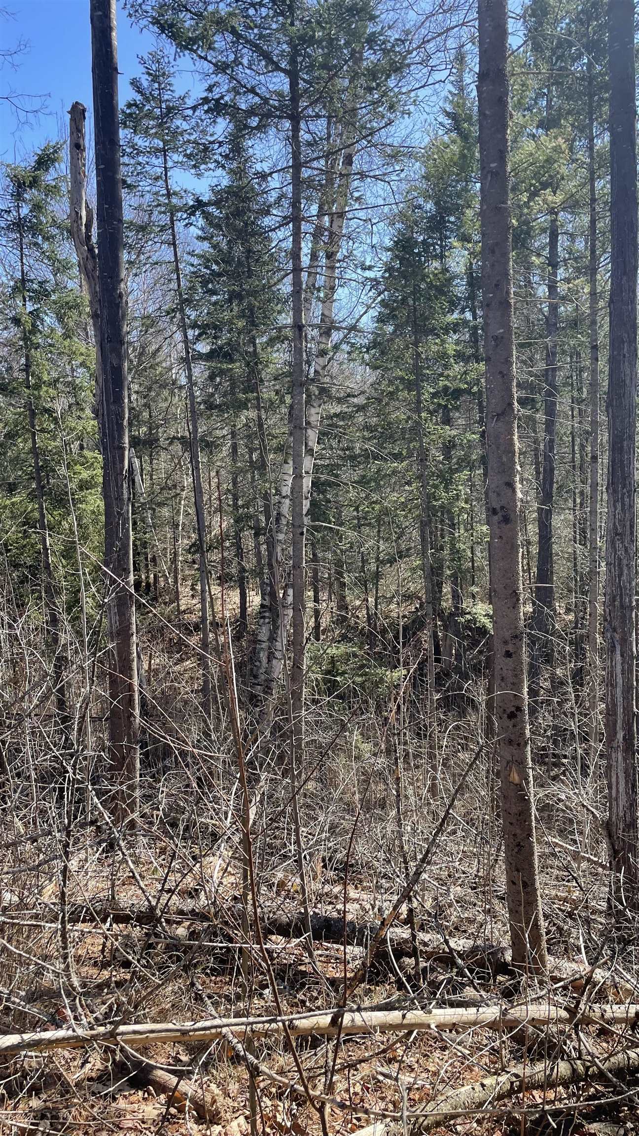 0 Route 115 Property Photo 10