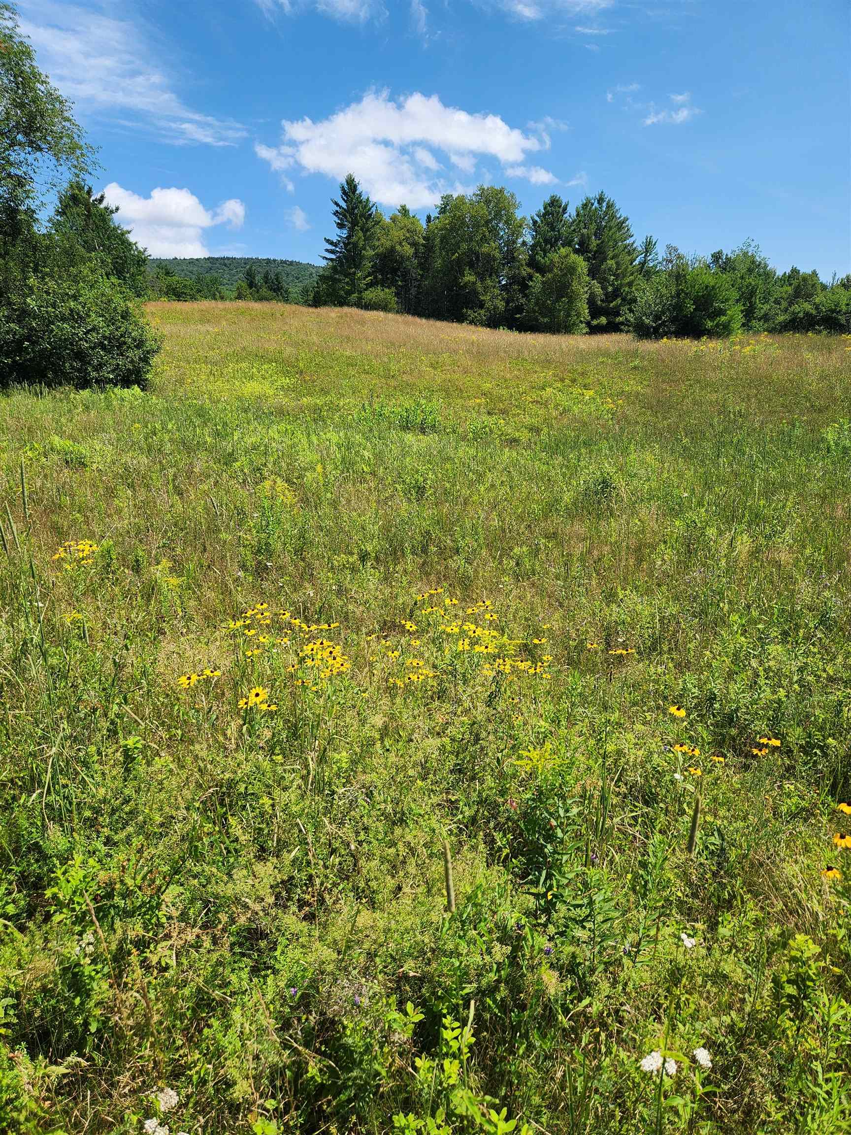 0 Route 115 Property Photo 3