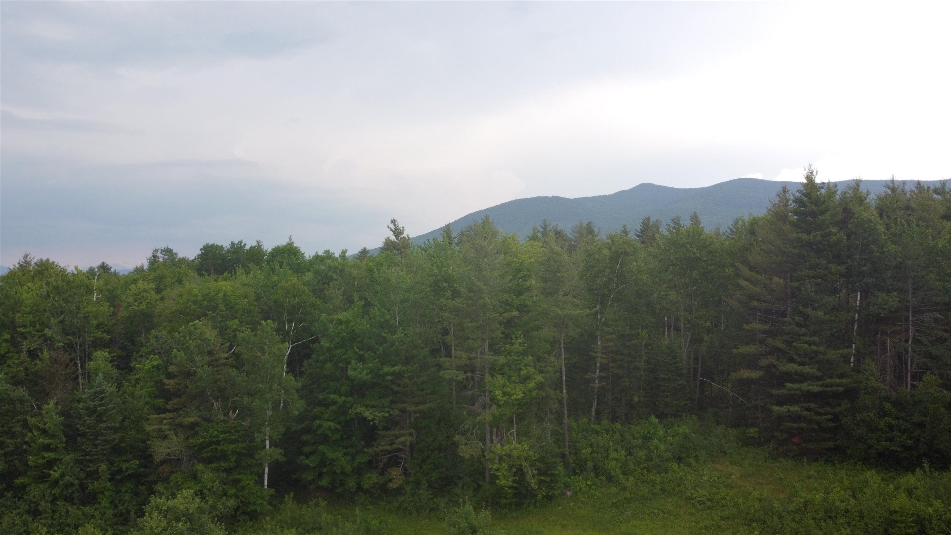 0 Route 115 Property Photo 7
