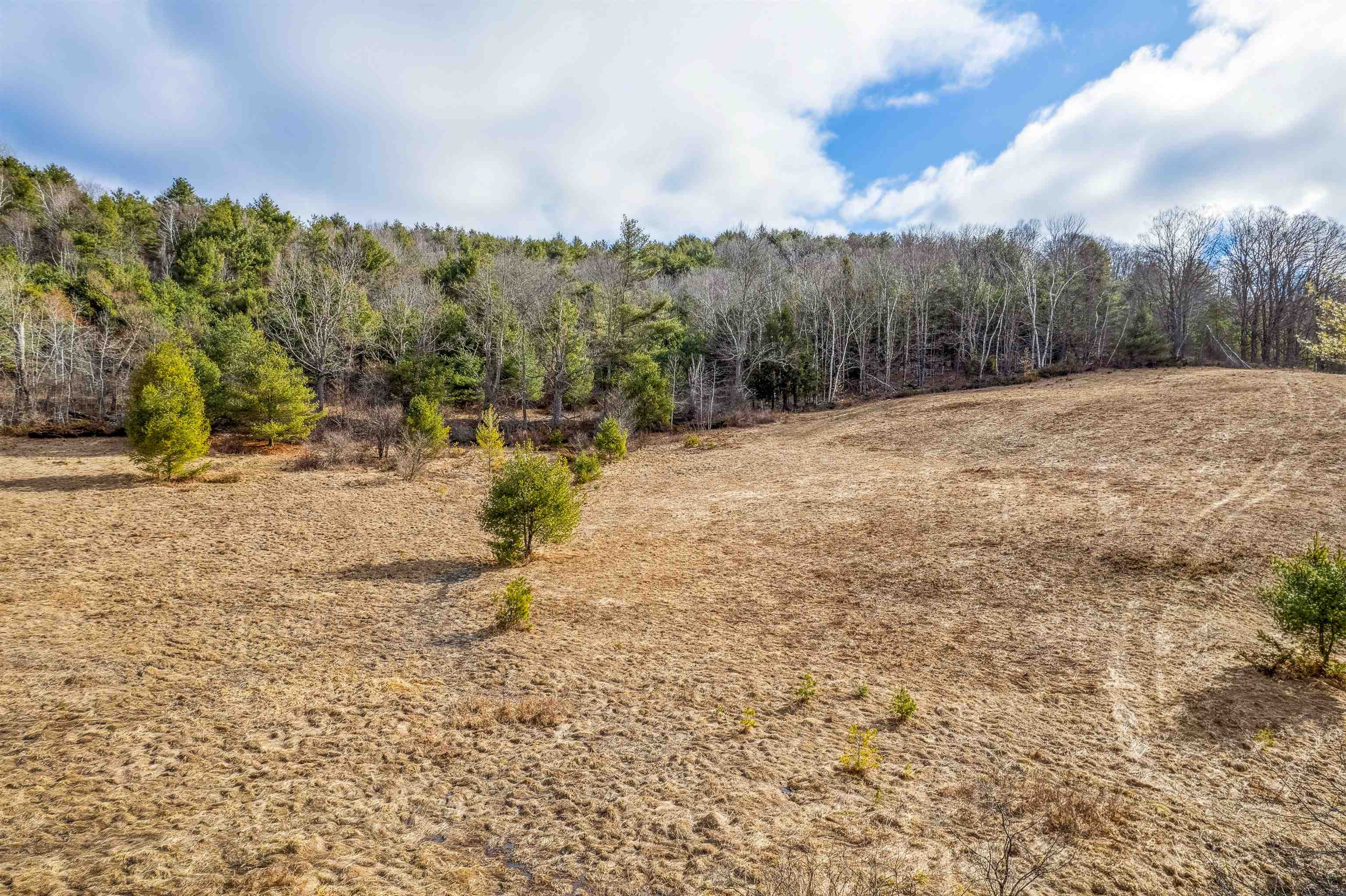 Tunbridge Real Estate Listings Main Image