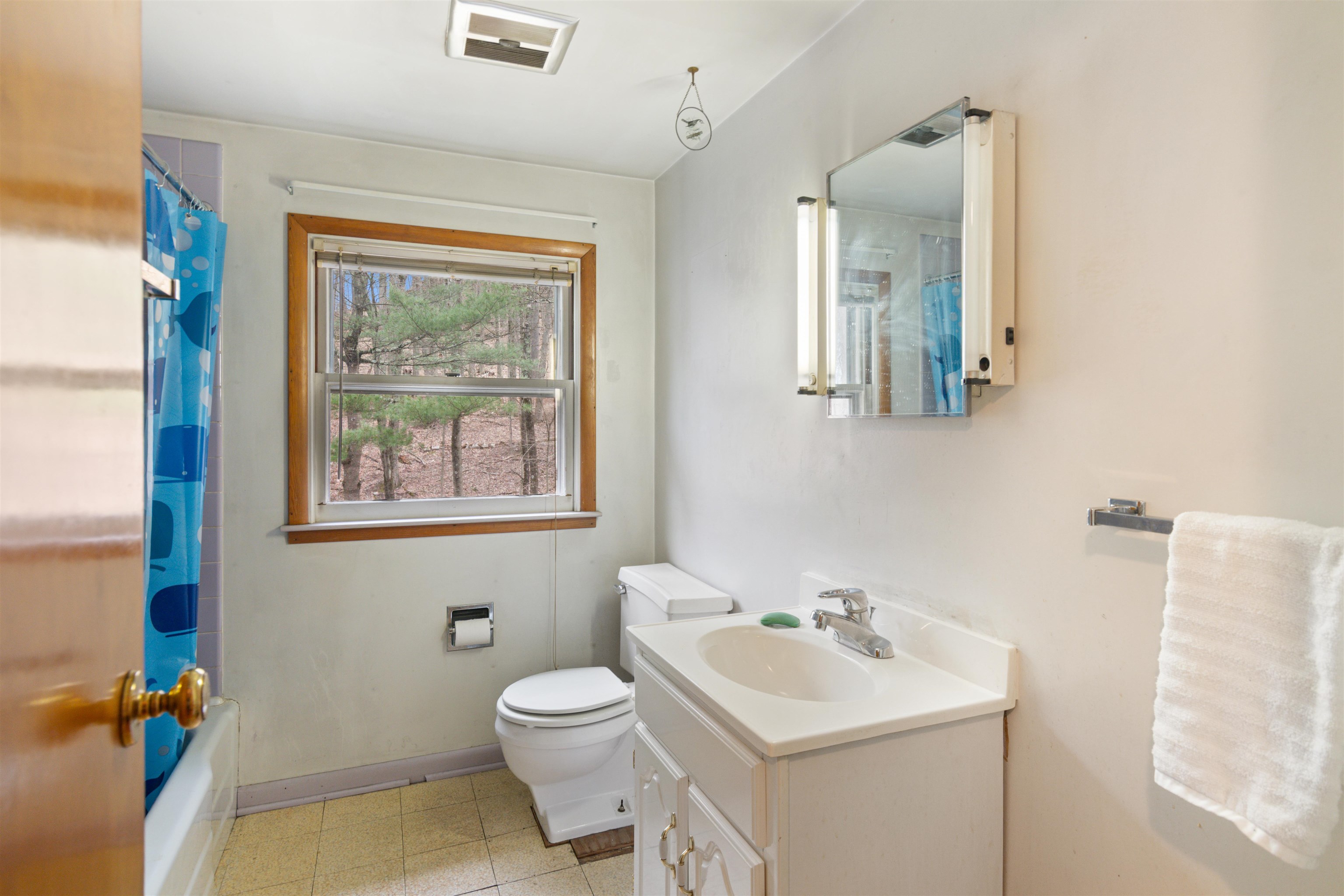 23 Moore Court Property Photo 25