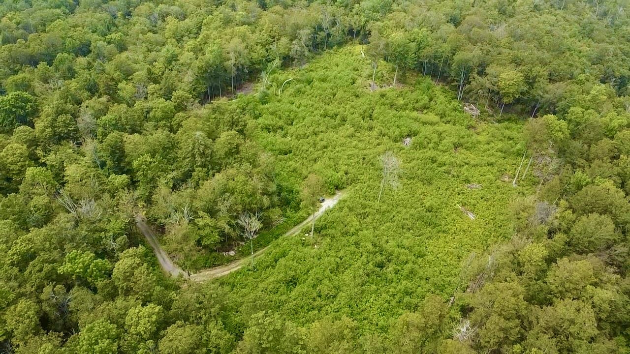 224 Arrau Road Property Photo 1
