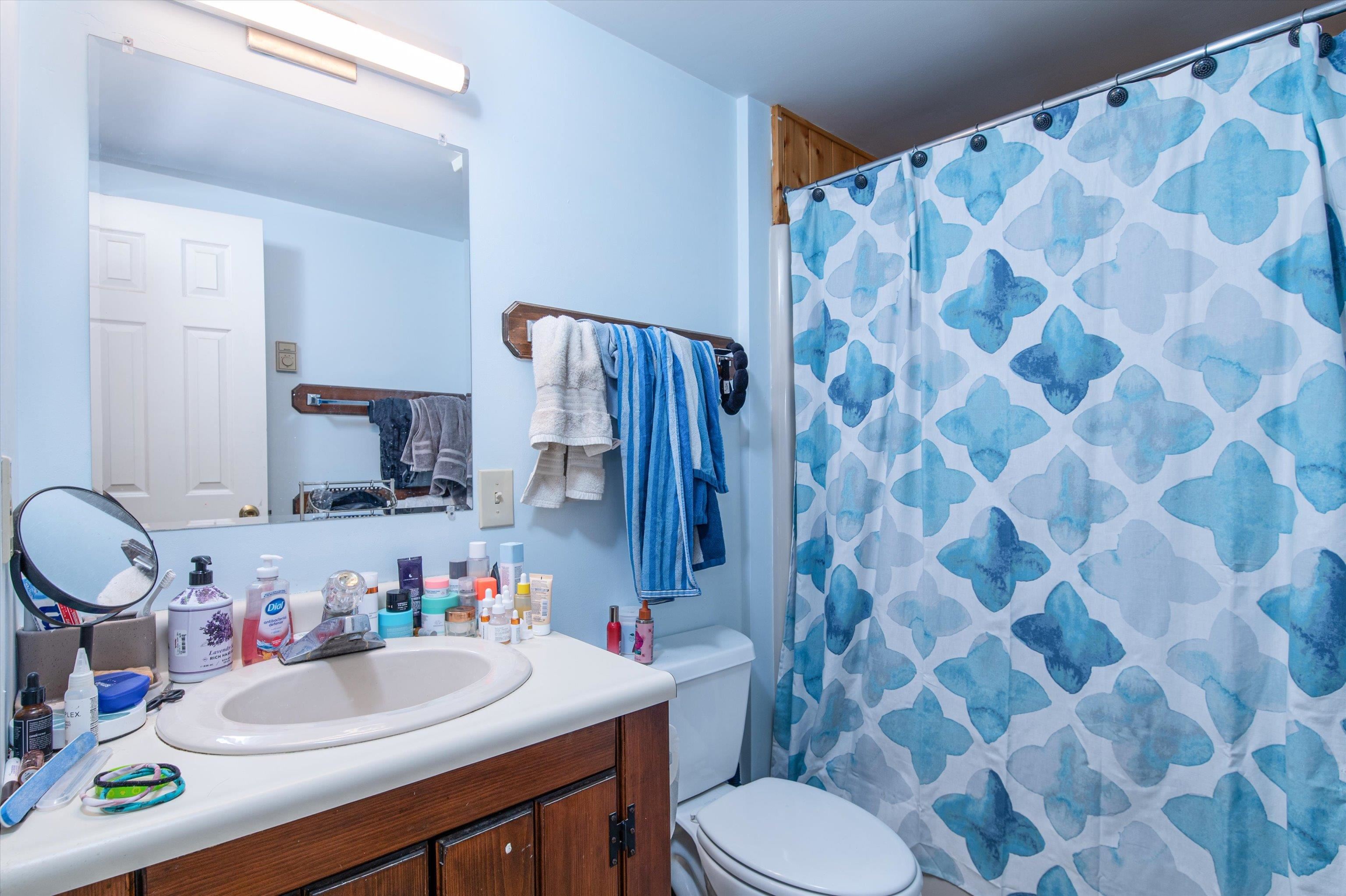 116 Lillian Drive Property Photo 49