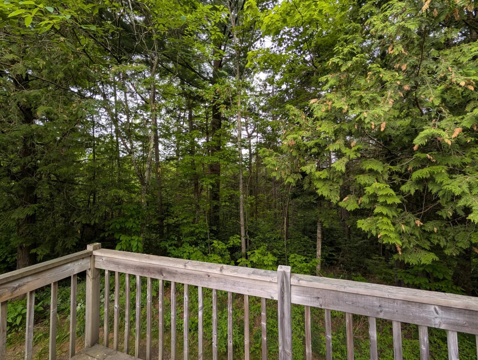376 Vt Route 242 Property Photo 21