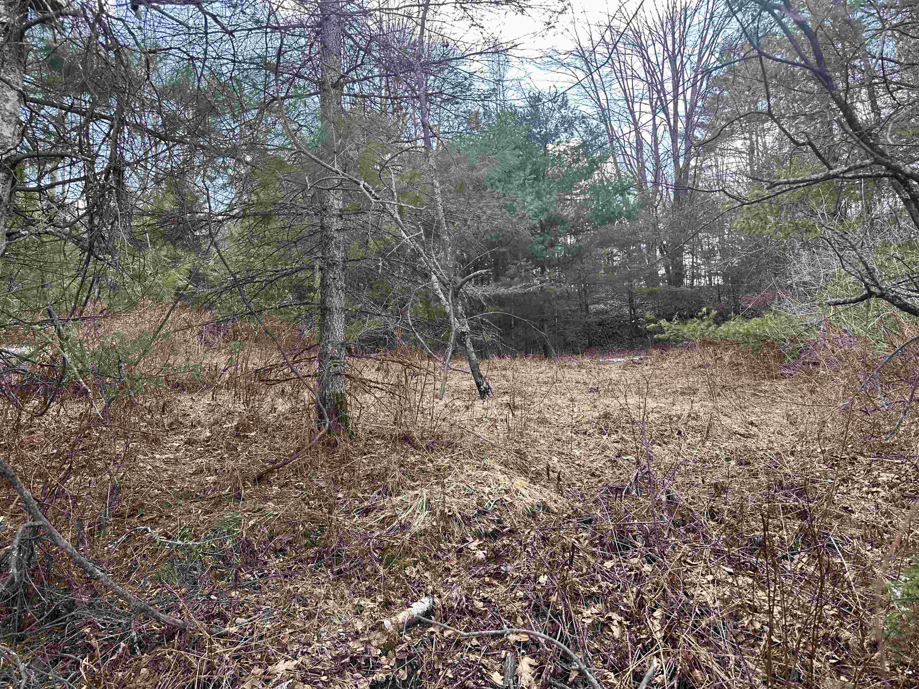 70 Hodge Hill Road Property Photo 18
