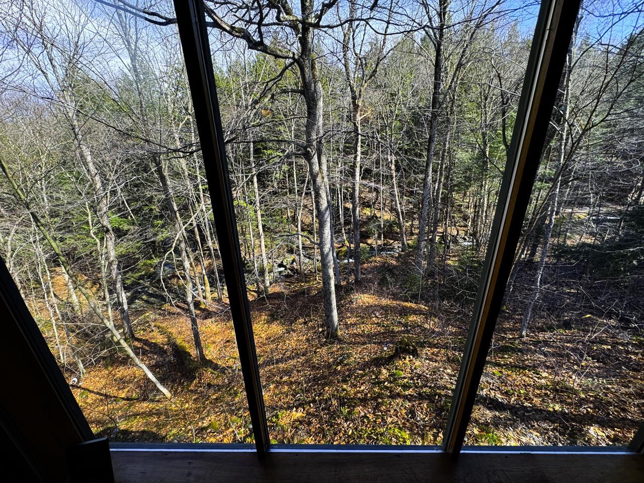 53 Rocky Road Property Photo 6