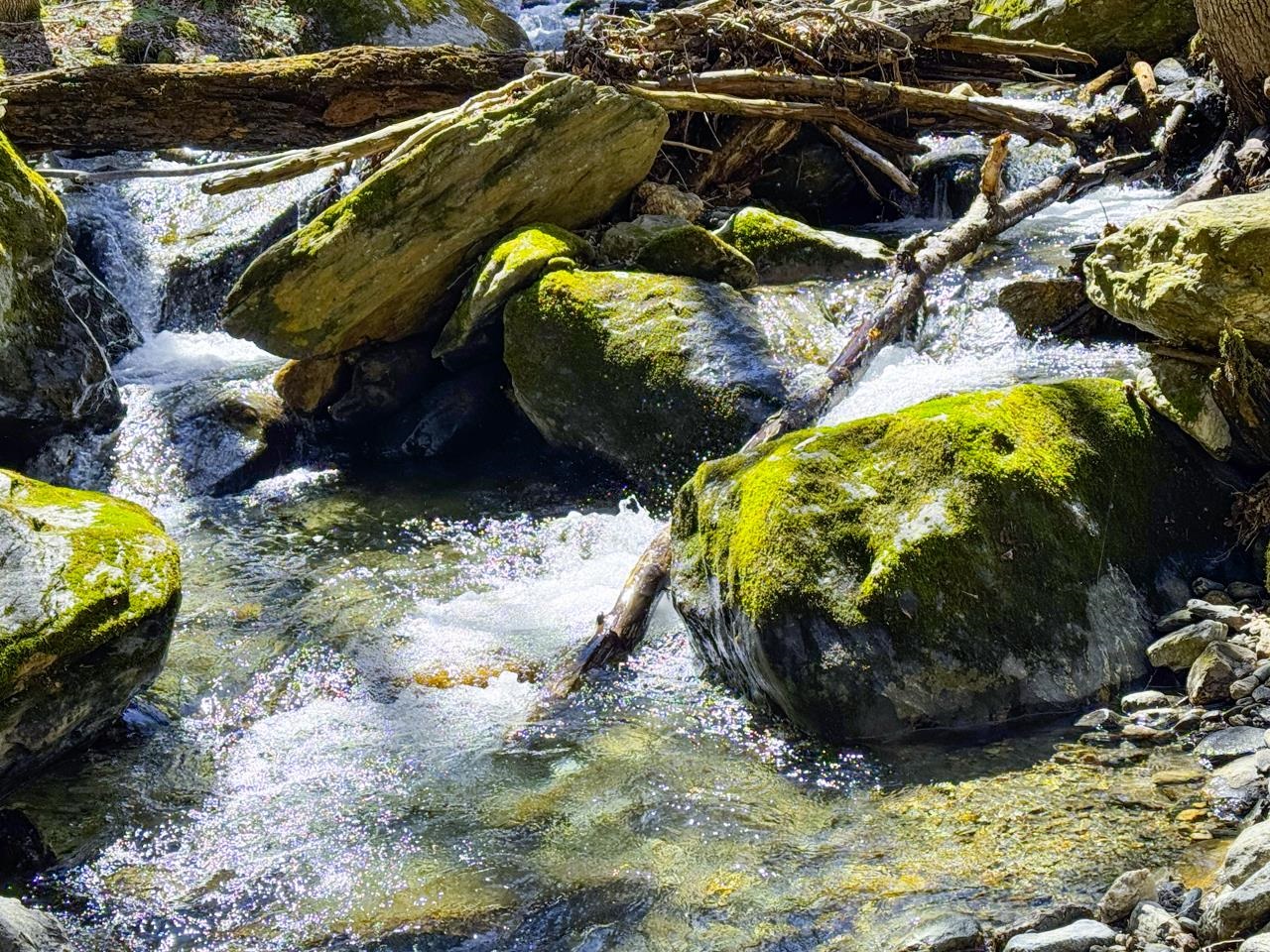 53 Rocky Road Property Photo 7