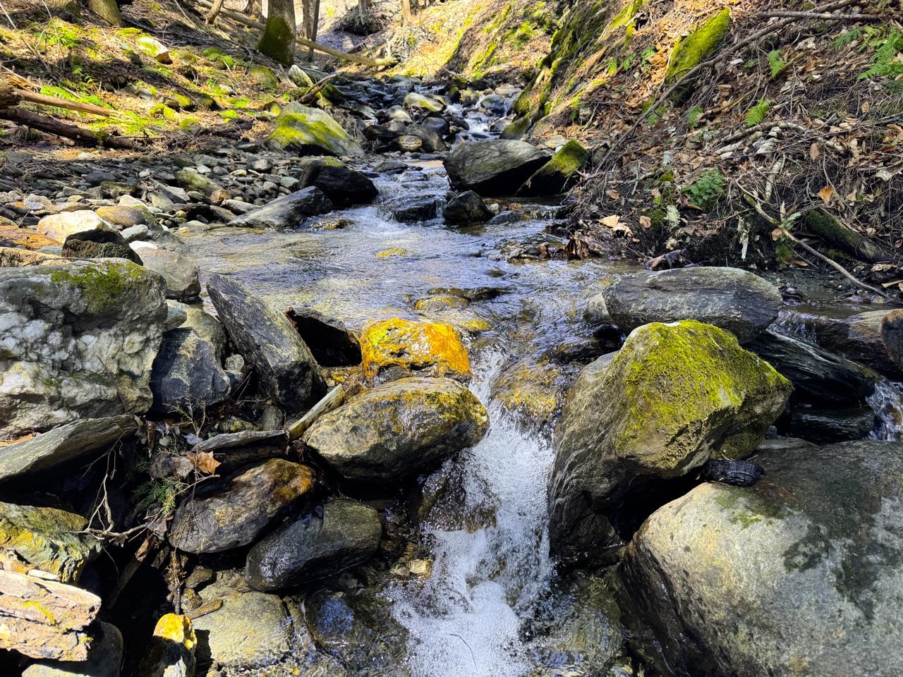 53 Rocky Road Property Photo 8