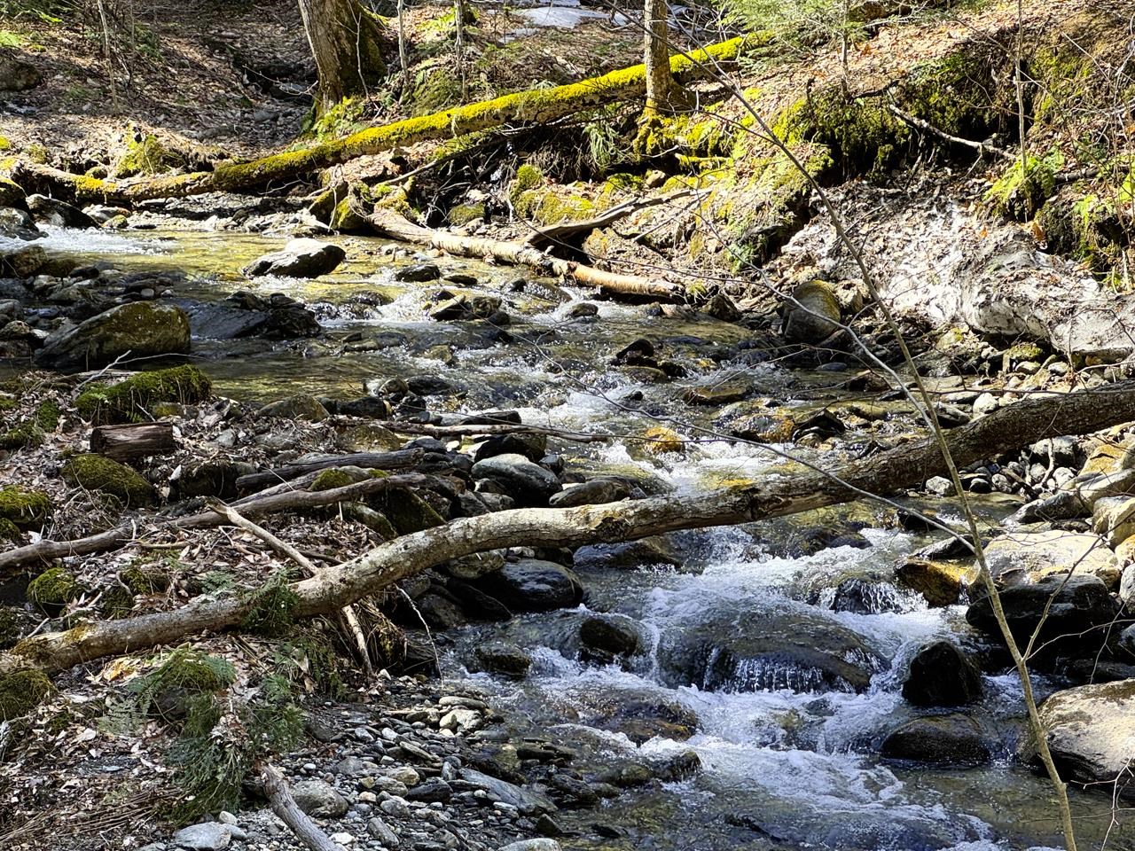 53 Rocky Road Property Photo 9