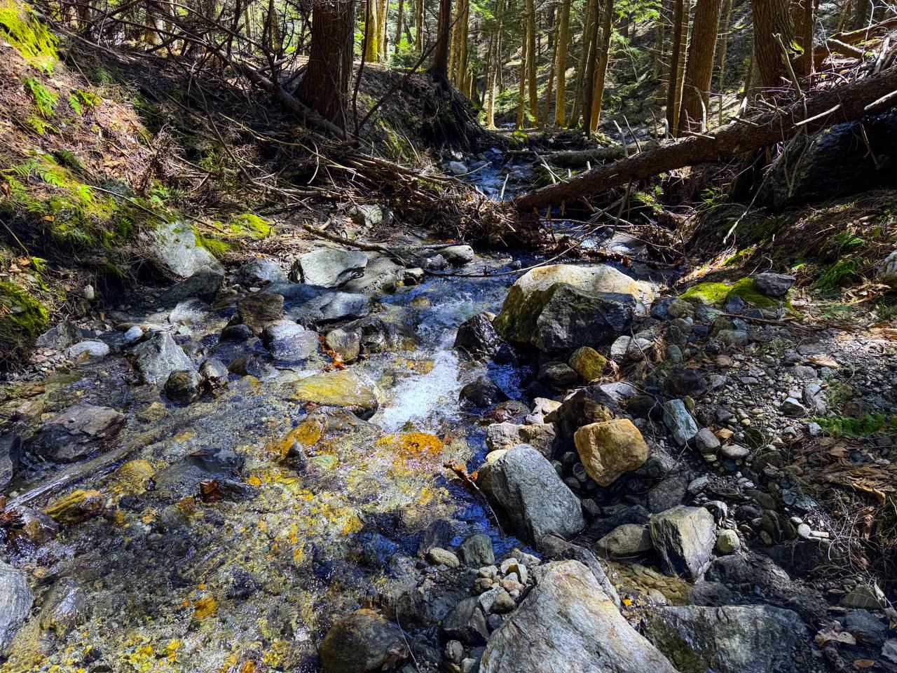 53 Rocky Road Property Photo 10