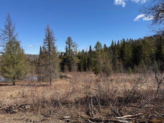 Craftsbury Real Estate Listings Main Image