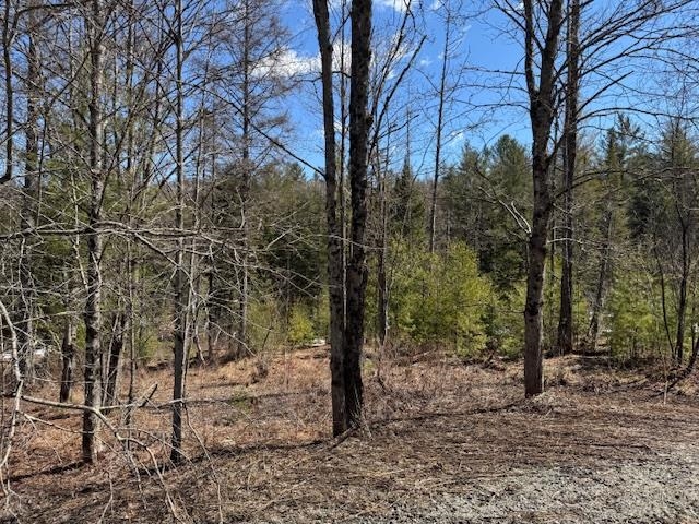 Townline Road Property Photo 2