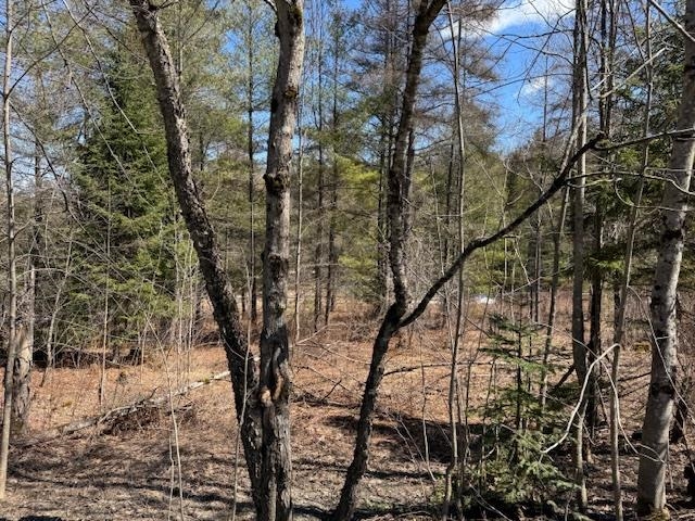Townline Road Property Photo 3