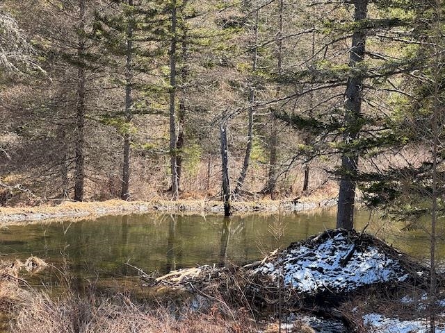 Townline Road Property Photo 4