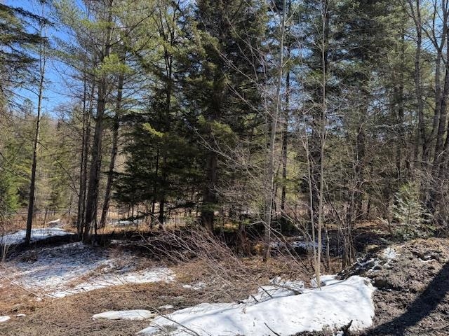 Townline Road Property Photo 5