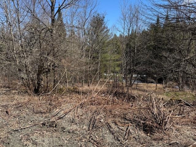 Townline Road Property Photo 6