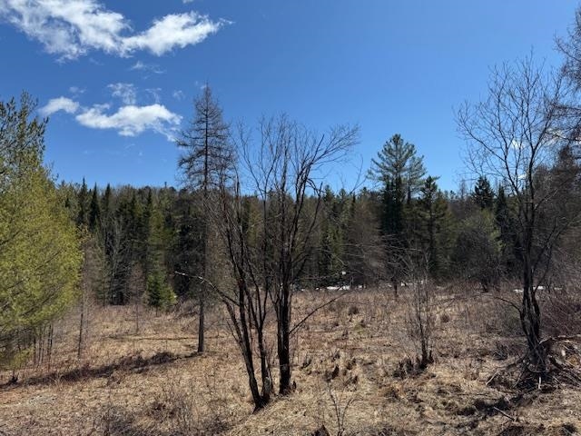 Townline Road Property Photo 7