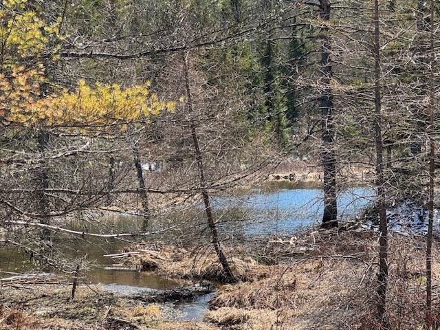 Townline Road Property Photo 8