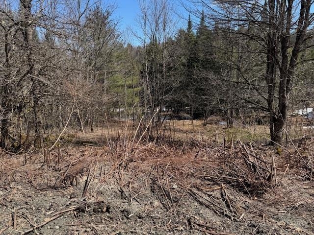 Townline Road Property Photo 9