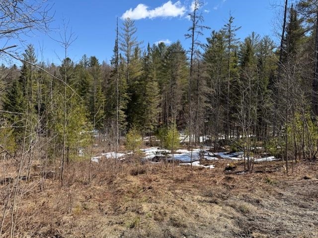 Townline Road Property Photo 10