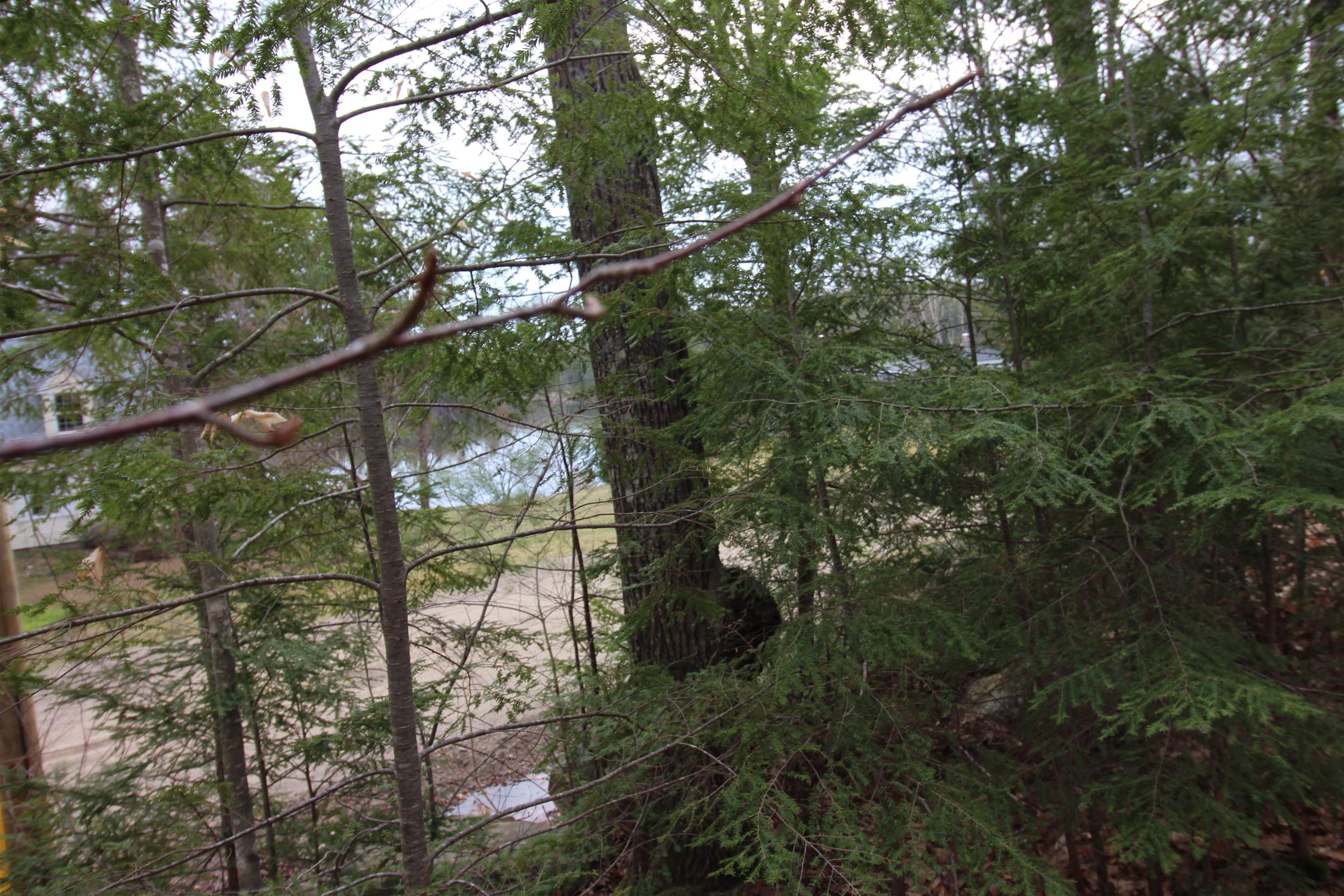 Lot 19-17 Northeast Pond Road Property Photo 1
