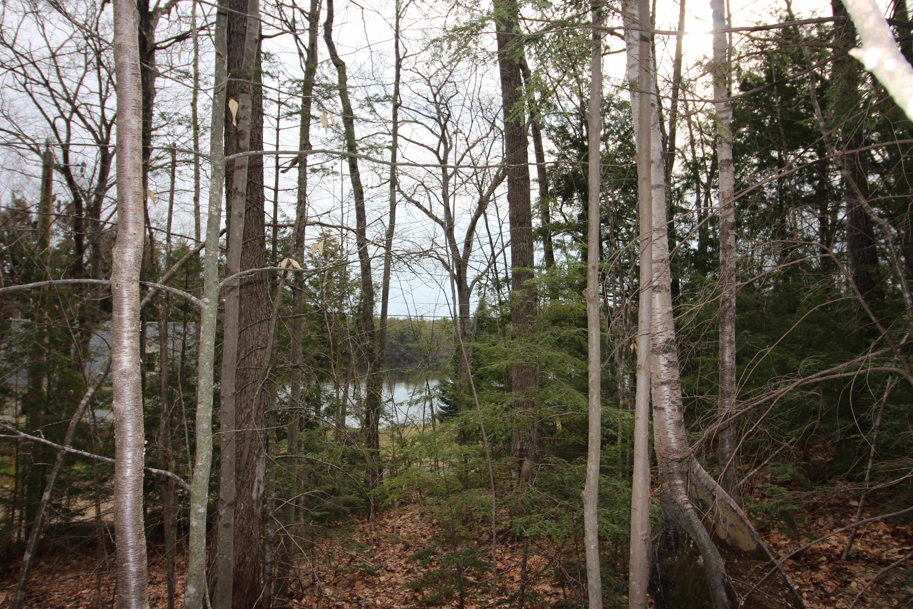Lot 19-17 Northeast Pond Road Property Photo 2