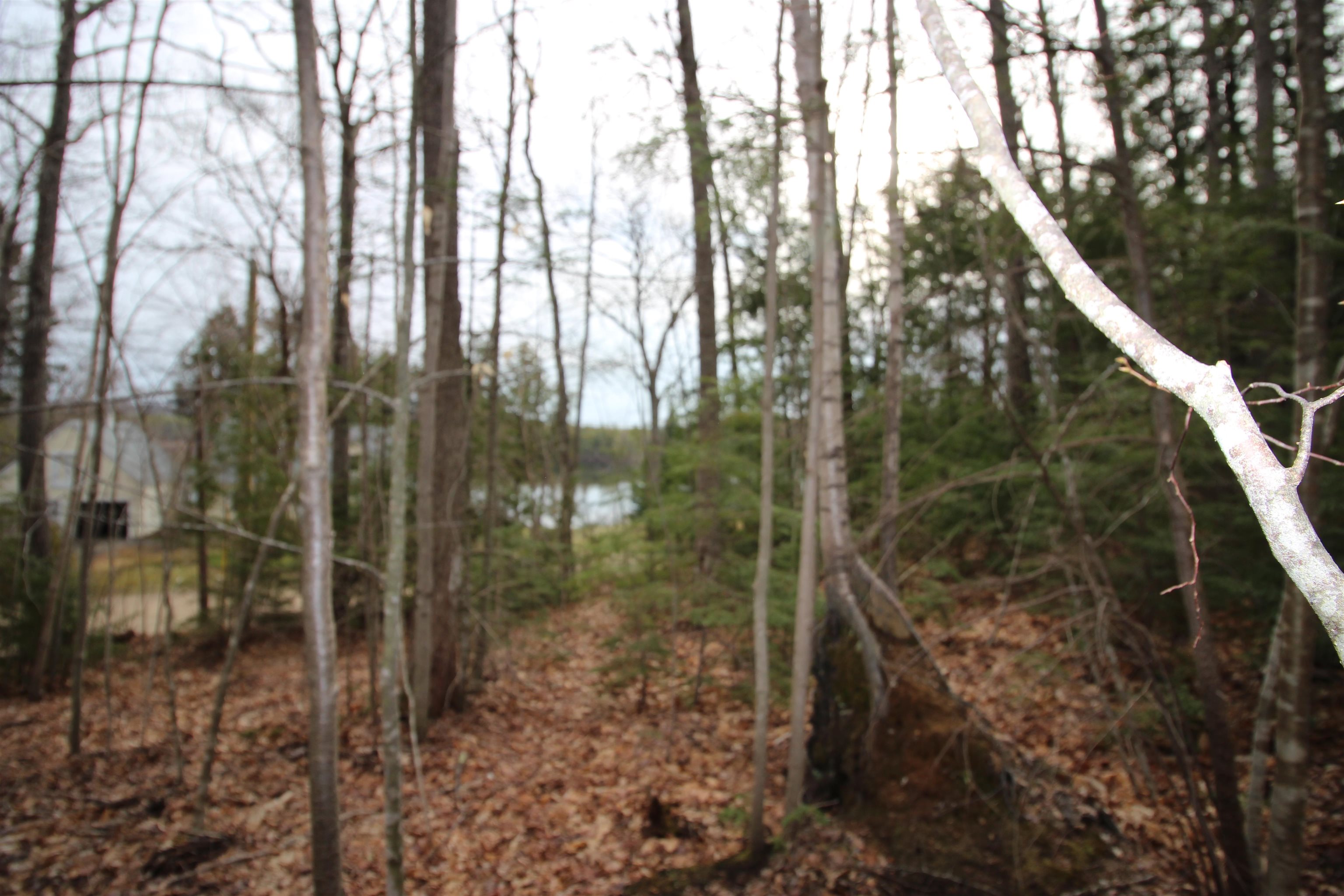 Lot 19-17 Northeast Pond Road Property Photo 3