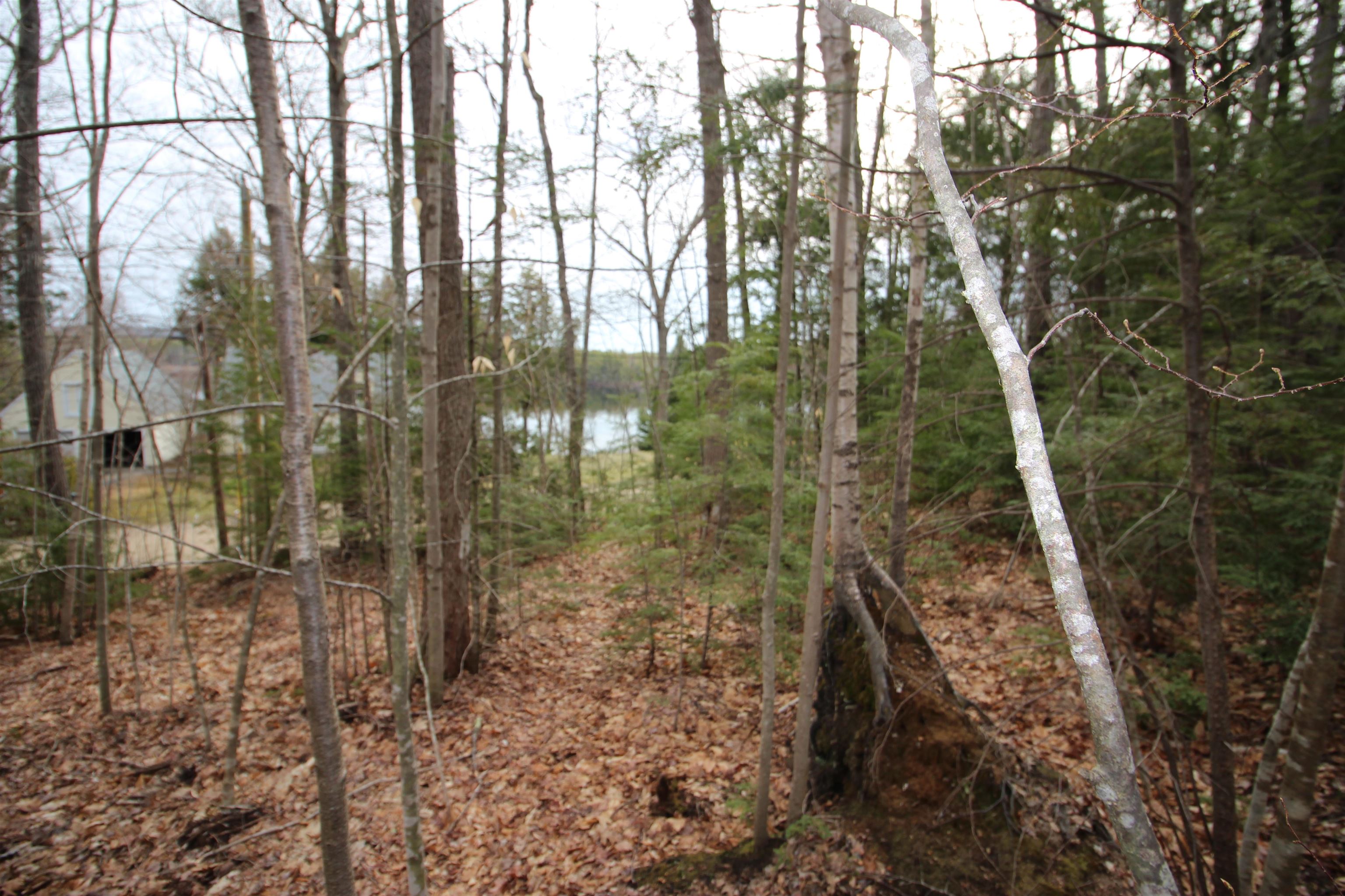 Lot 19-17 Northeast Pond Road Property Photo 4