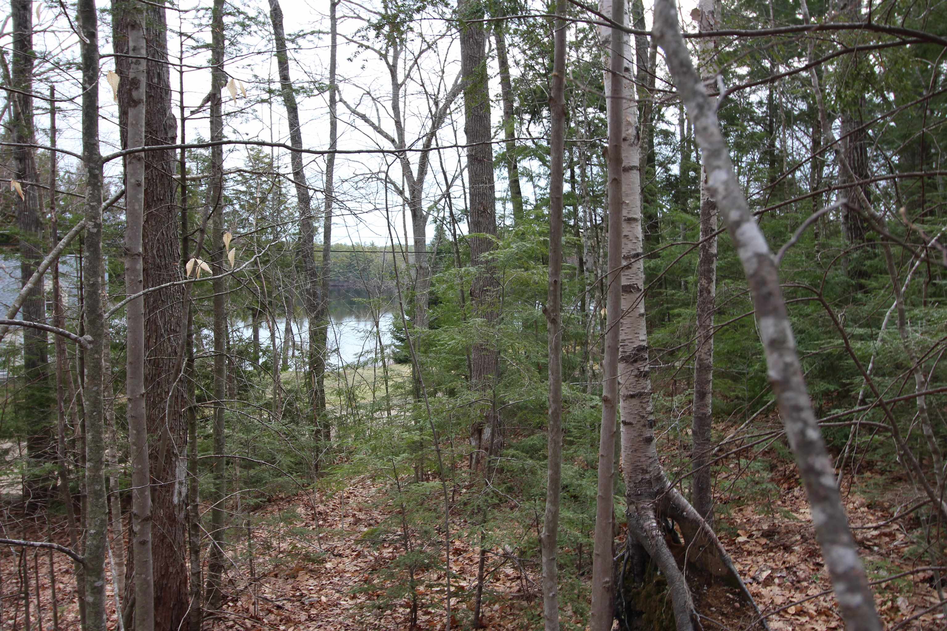 Lot 19-17 Northeast Pond Road Property Photo 5