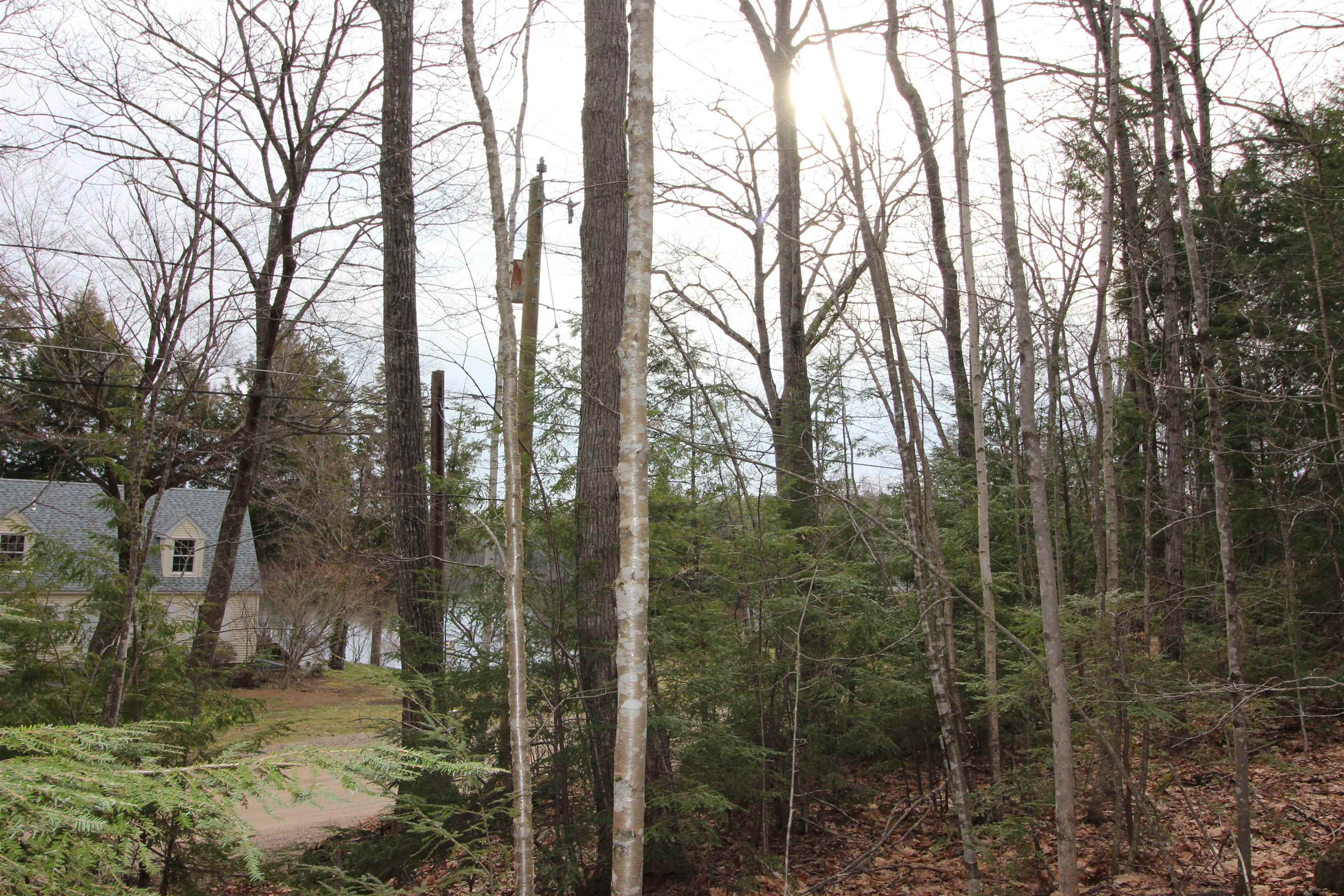 Lot 19-17 Northeast Pond Road Property Photo 6