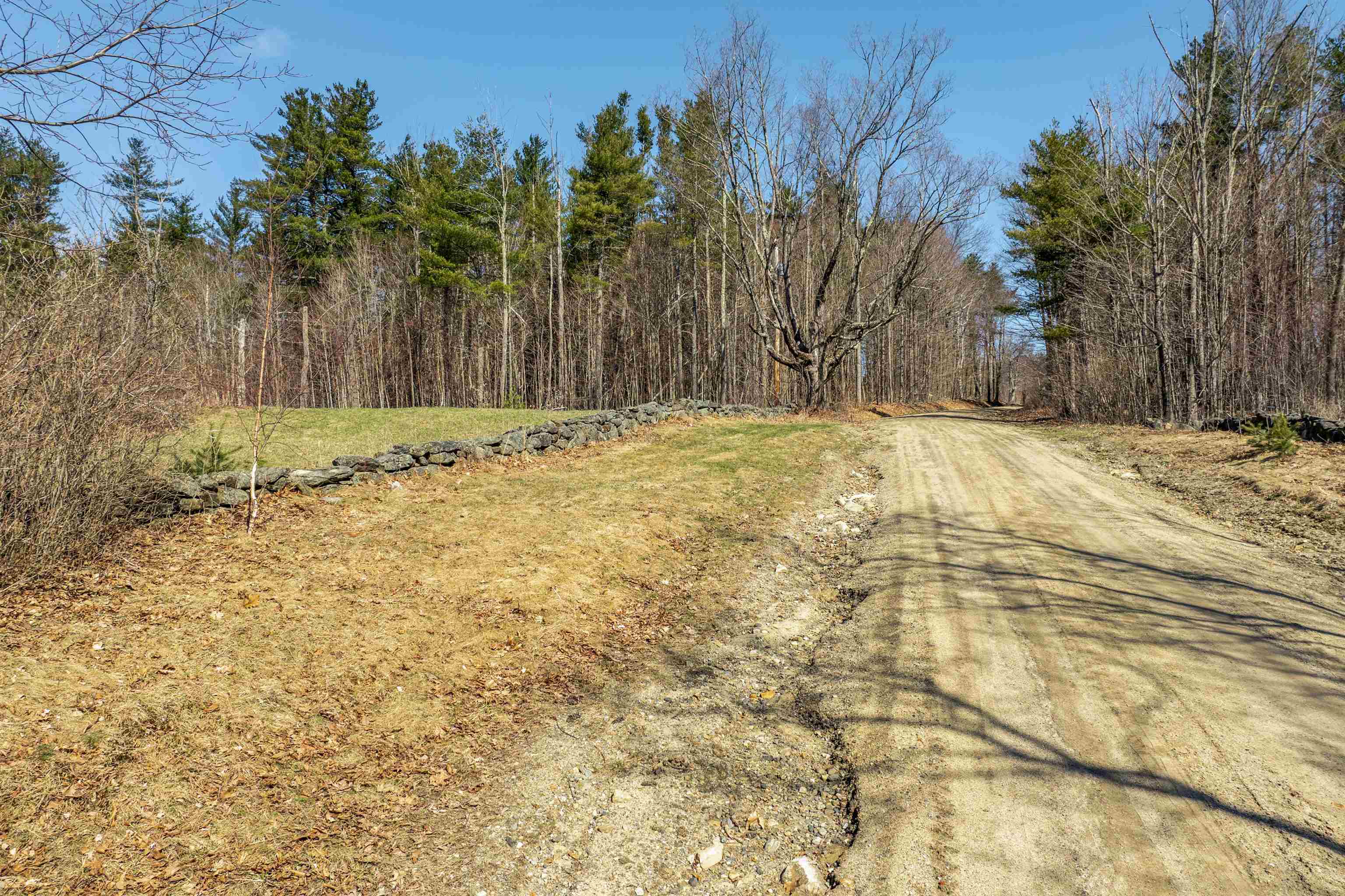 133 Saddle Hill Road Property Photo 10