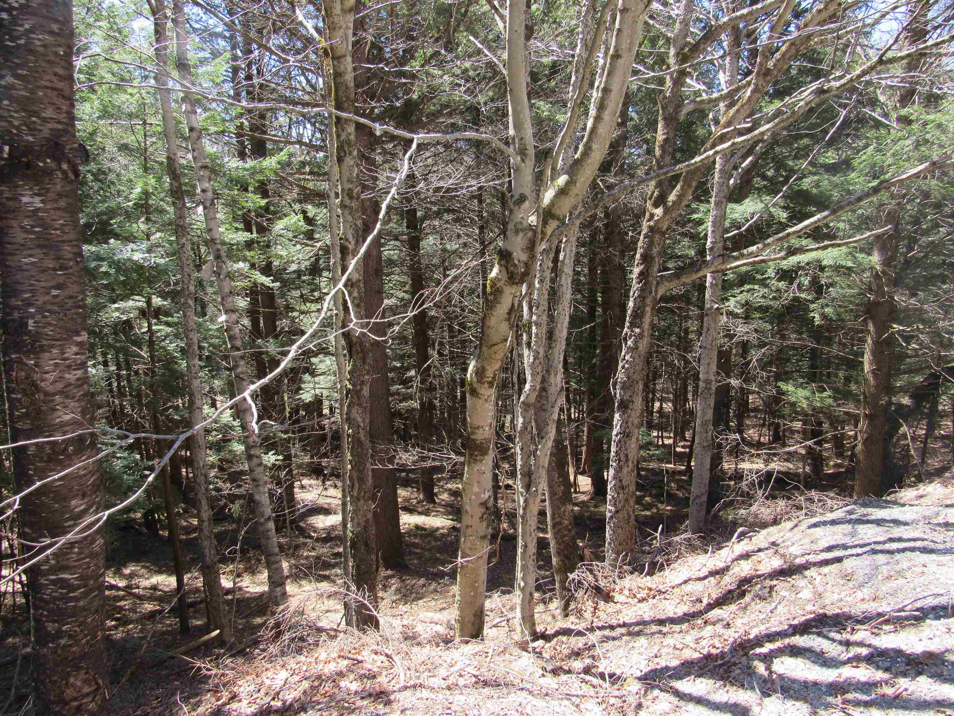 0 Stratton View Road Property Photo 2