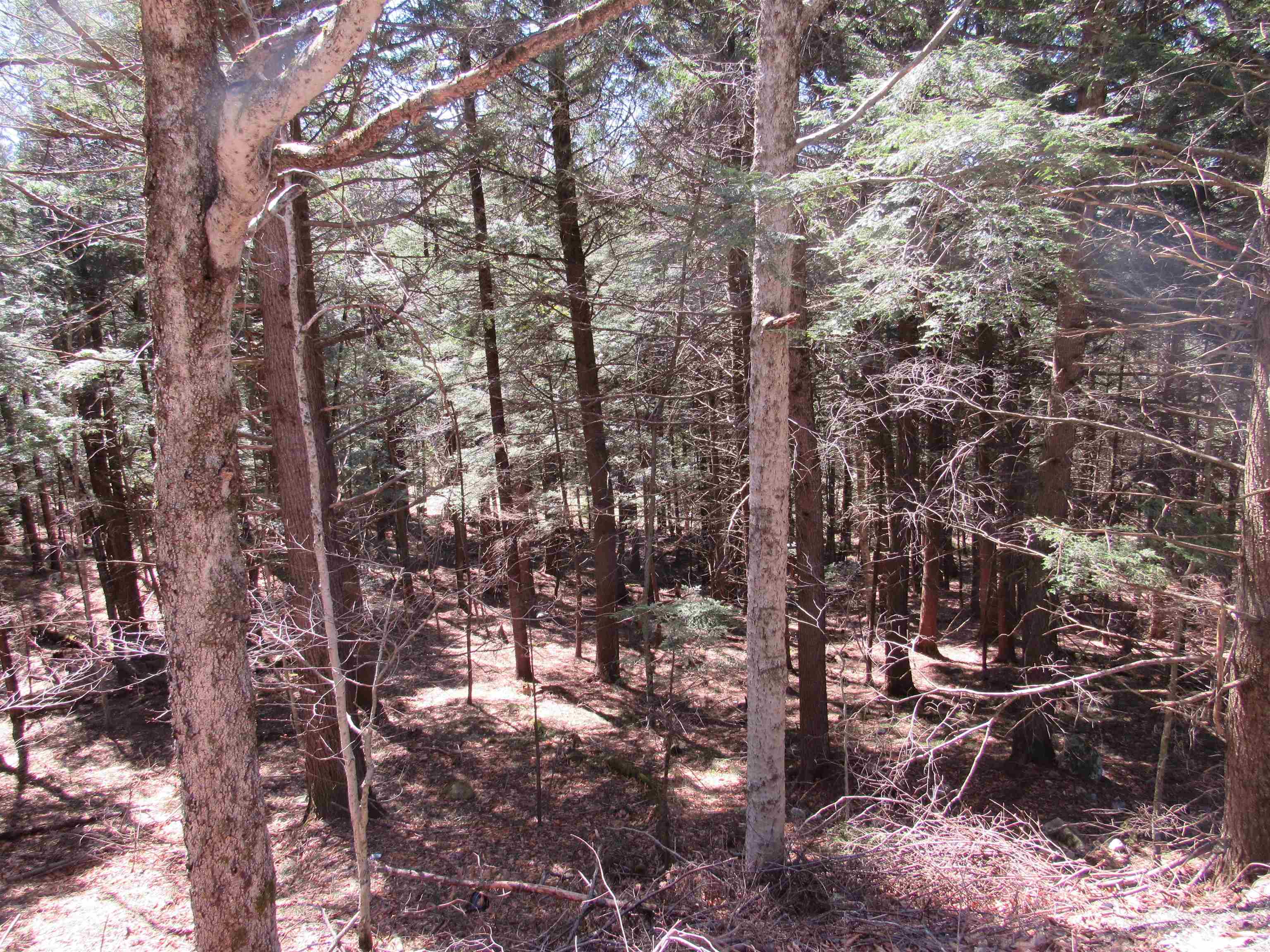 0 Stratton View Road Property Photo 3